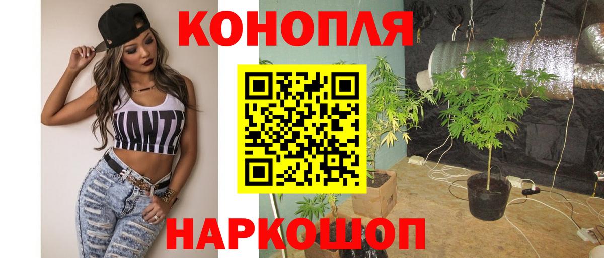 Конопля MAZAR Химки